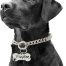 Choke Chain Collar