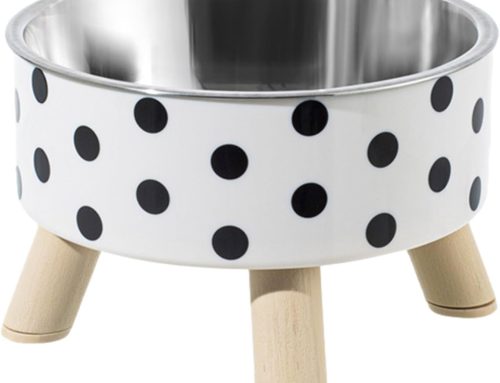 BLURISM High Rise Cat & Dog Food Bowl – 1 Stainless Steel Elevated Cat Bowls Protecting Spine – Detachable Cat Dish, Durable Pet Supplies for Cat Feeding, Optimal Eating Posture, Vomiting Prevention