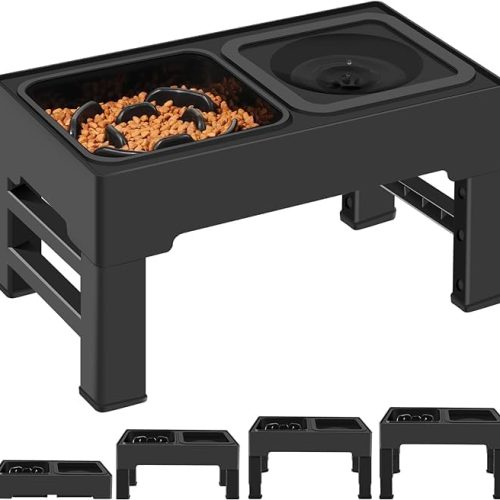 Height Adjustable Raised Bowl