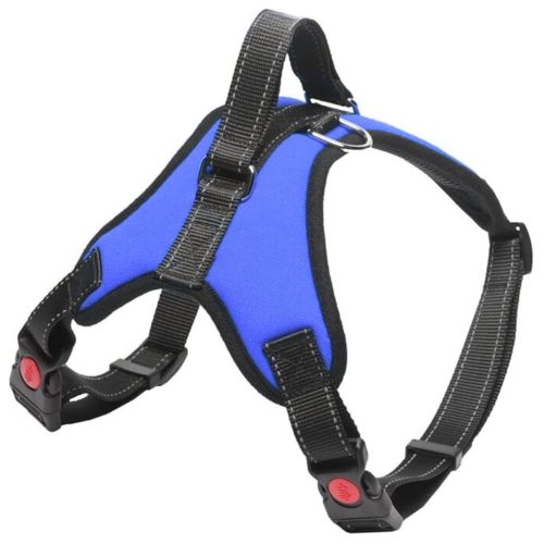 Comfortable and Adjustable Size