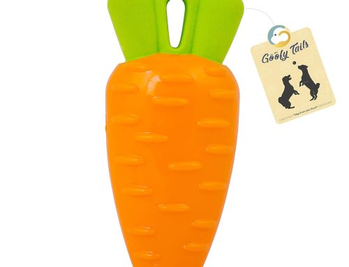 Goofy Tails Dog Toys, Veggie Series Carrot Squeaky Chew Toys for Dogs & Puppies, Squeaky Toys for Dogs, Small & Medium Breeds| No.1 Best Seller