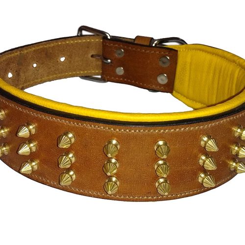 Leather Dog Collar