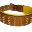 Leather Dog Collar