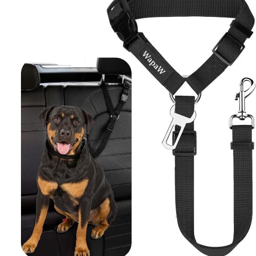 Pet Safety Leash